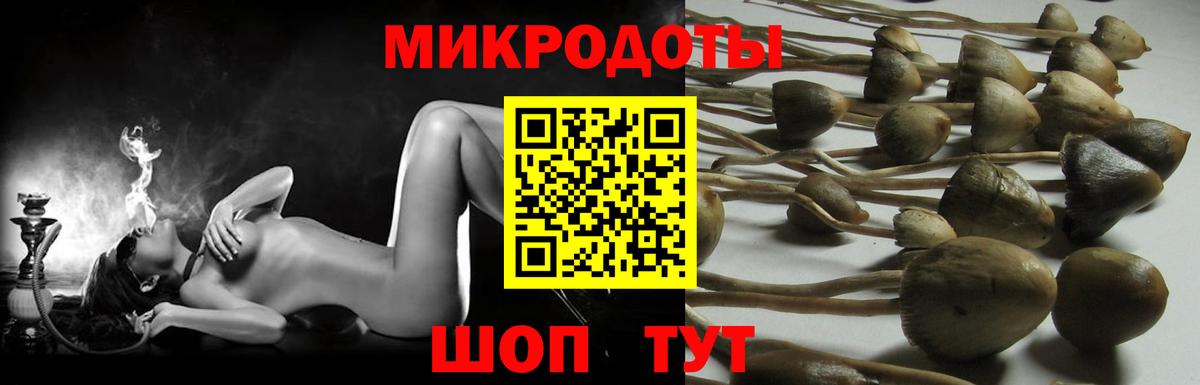 Галлюциногенные грибы ЛСД Мурино